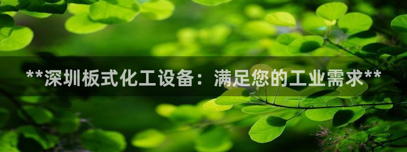 新城平台平台最新活动消息